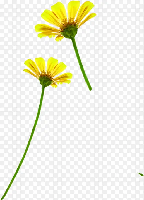 ��ɫ�ֻ�ʱ�л���ݵ�-������