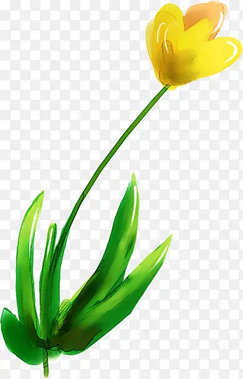 ��ɫ��ͨˮ�ʻ���-������