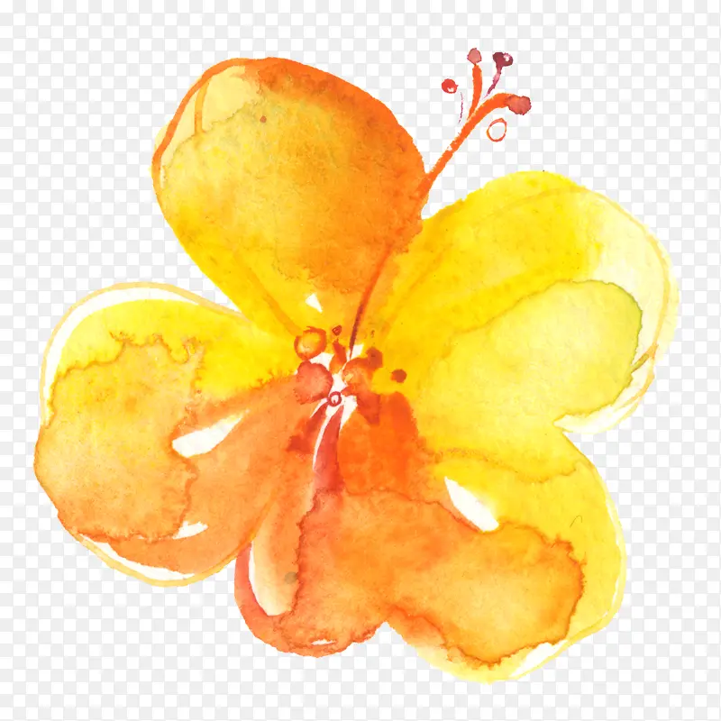 ˮ�ʻ�ɫ����-������