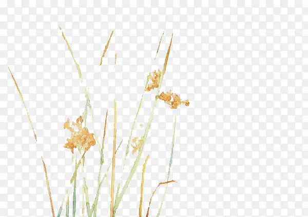 ��ɫ�ֻ�ˮ�ʻ���-������