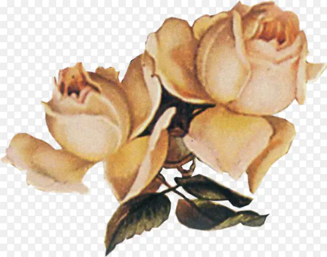 ��ɫ��㴴�⻨��-������