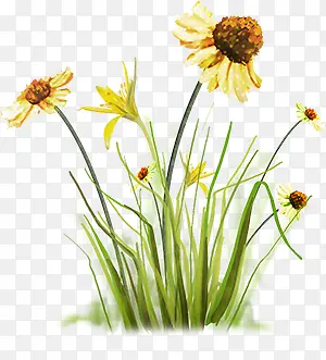 ��ɫ�ɰ����䴴��-������