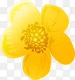 ��ɫ�ɰ�Ψ������-������