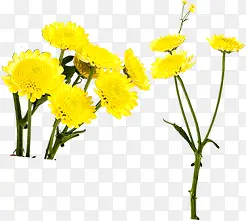 ��ɫʱ�л����ͼ-������