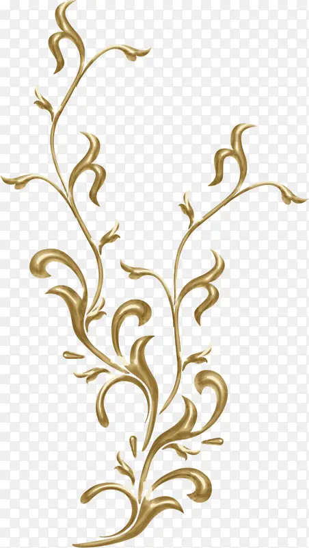 ���ɫ������֦ŷʽ-������