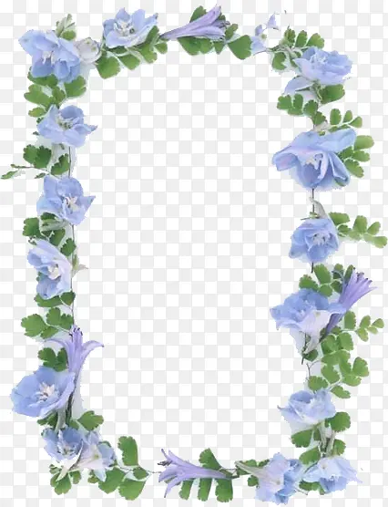 ��ɫ����߿�-������