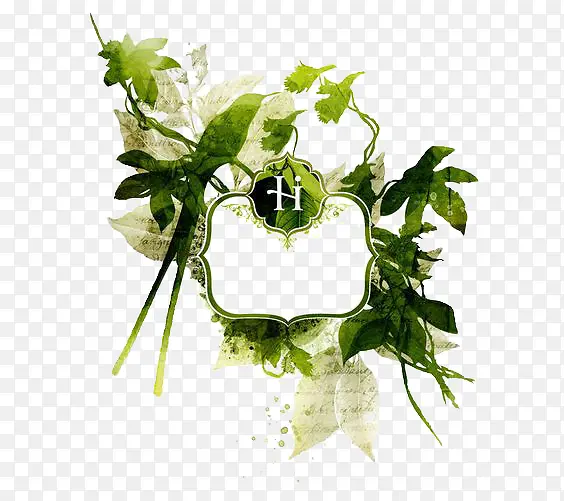 ����߿�-������