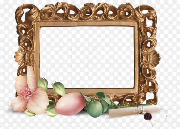 �����ε�װ�λ���-������