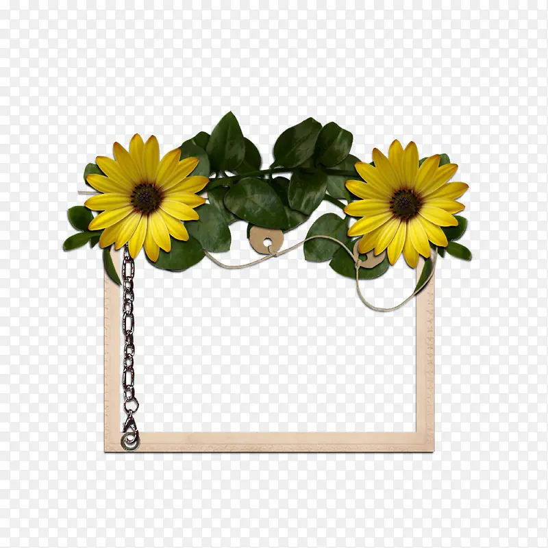 �����ο�-������