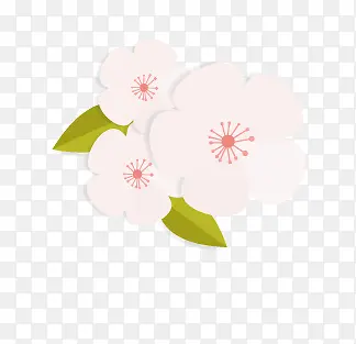 �ɰ�ӣ��-������