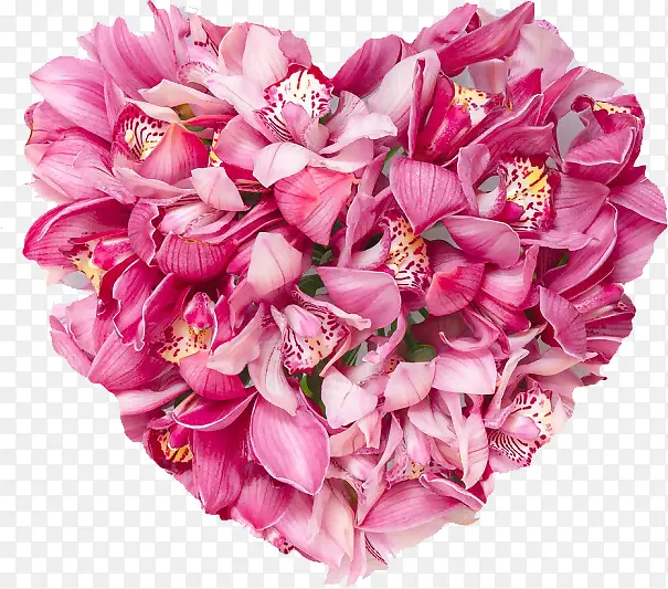 ����ֲ�ﻨ��Ч�����˽�-������