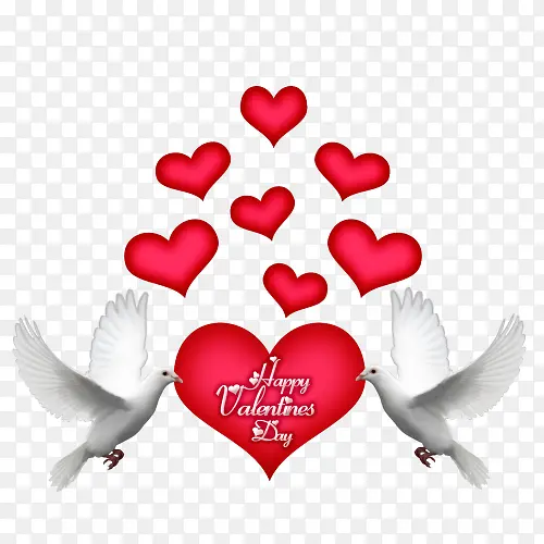 214���˽ڰ׸밮��-������