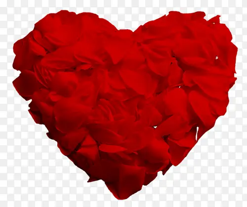 ����õ�廨-������