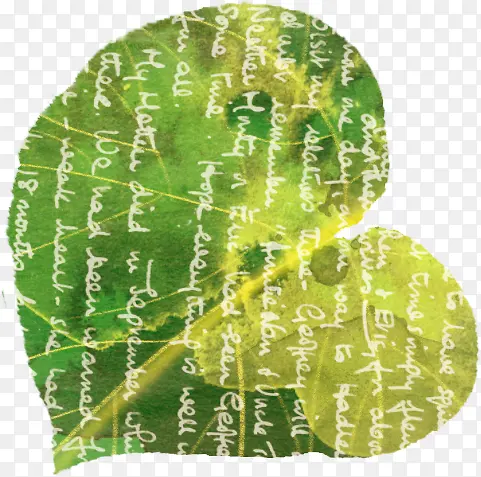 �ֻ���Ҷ��ĸ����-������