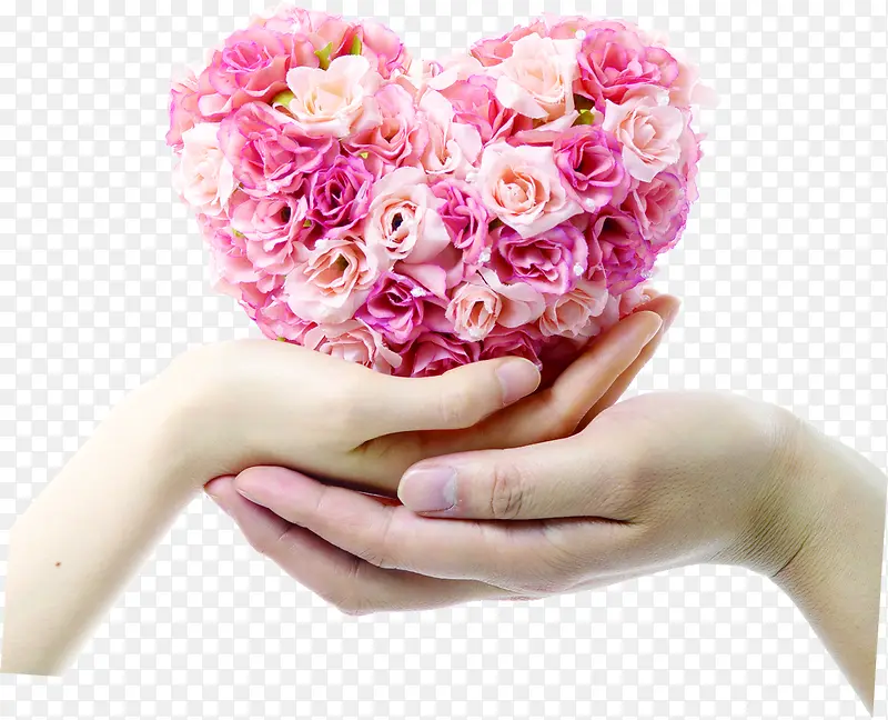 ��ɫ���䰮�ĺ���װ��-������