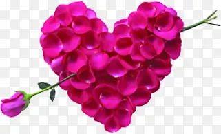 ���ķ�ɫõ��ͼƬ���-������