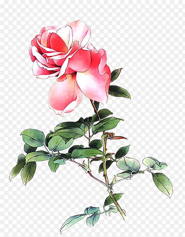 �ֻ�ˮ�ʻ���-������