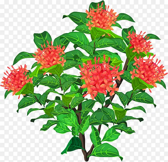 ����-������