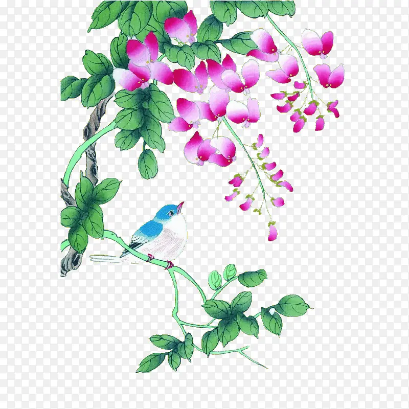 �ŷ�ʻ�컨��Ҷ��֦-������