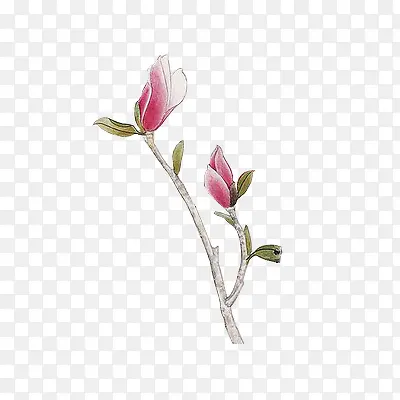 ˮ�ʺ컨��Ҷ��-������