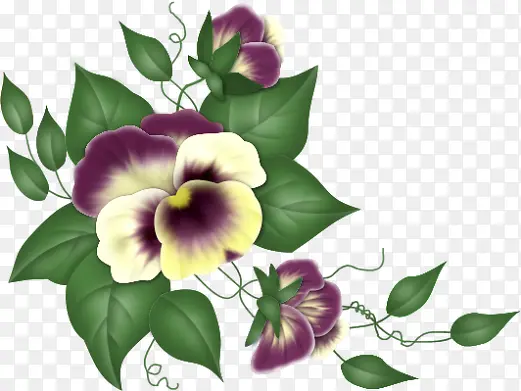 ˮ����Ҷ�컨-������