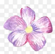 �ֻ滨-������