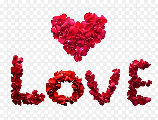 ��ͨ���Ļ���-������