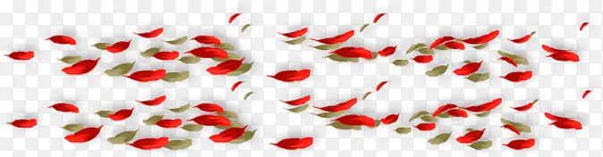 ��ɫ���걳��-������