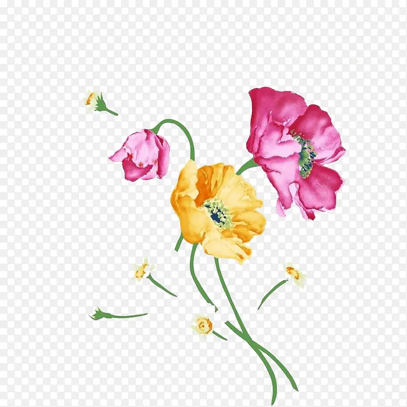 �廭-������