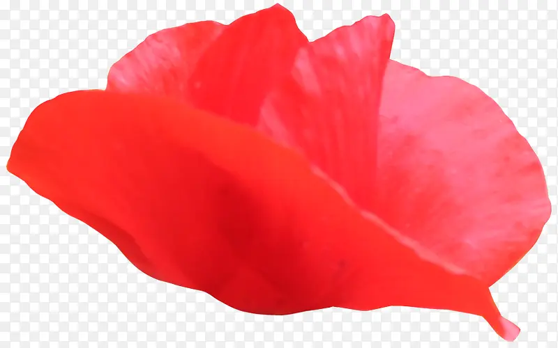 �������Ư���������Ψ��-������