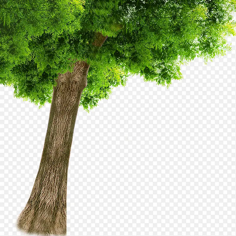 ��-������