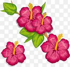 �ֻ滨��-������