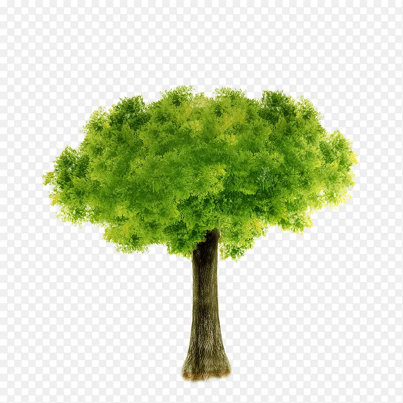 ��-������