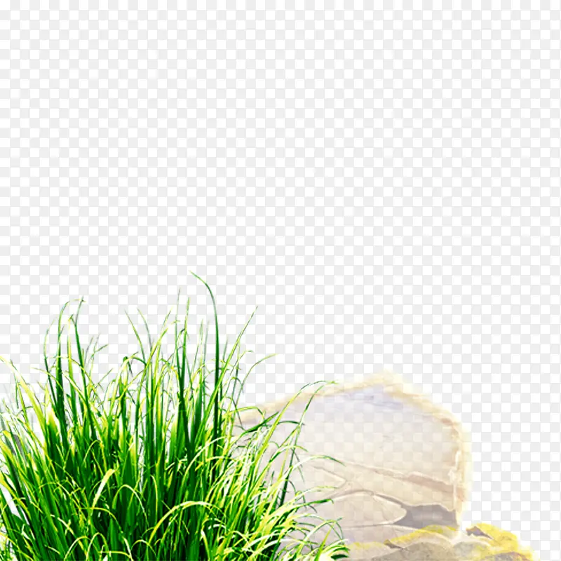 ��-������