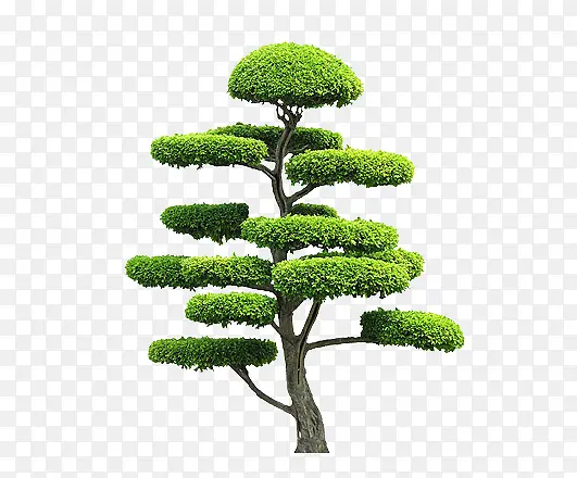 ��-������