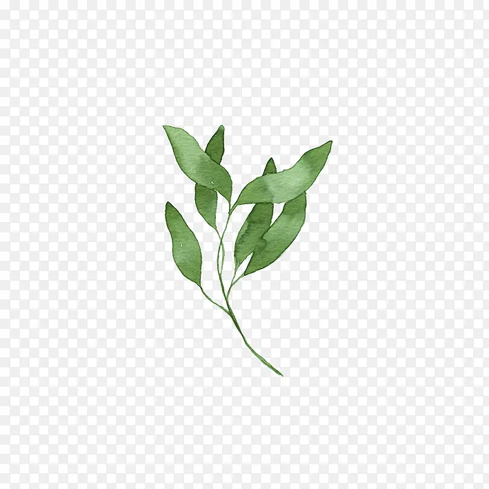 ��ɫ�Ŀ�ͨ�ֻ�Ҷ��-������