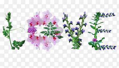 ���Ļ���-������