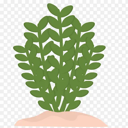 ��ɫС��ֲ��-������