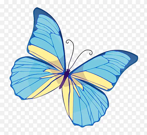 ��ɫ����-������