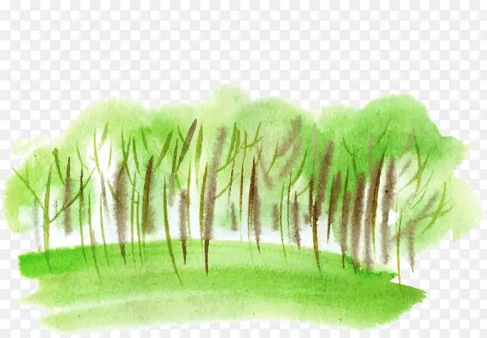 ˮ����-������