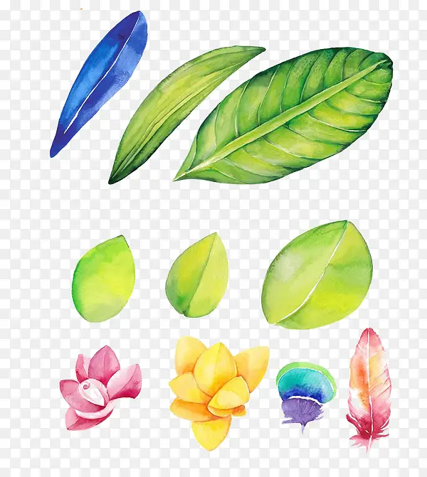 �ֻ���Ҷ��ɫ�����ز�-������