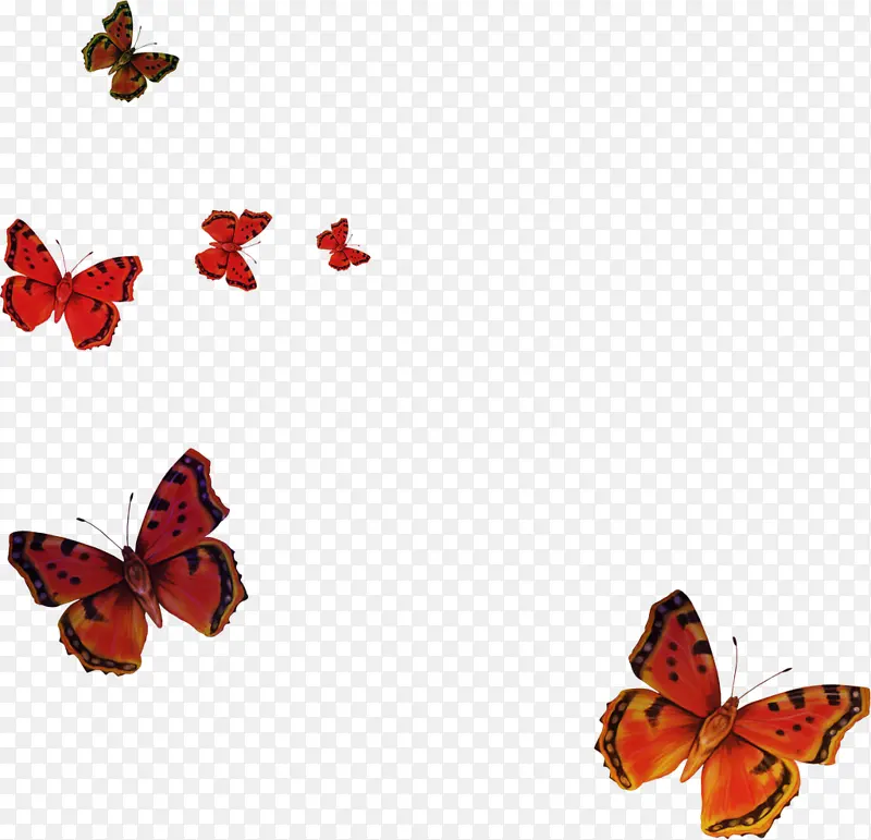 ��ͨ����Ư���ز�-������