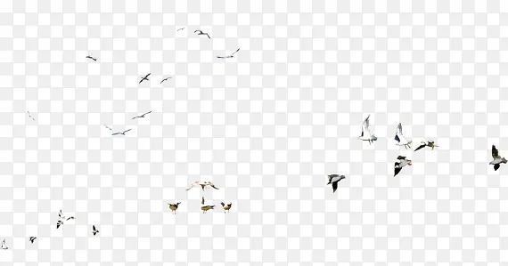 ��ɫ��Ư���ز�-������