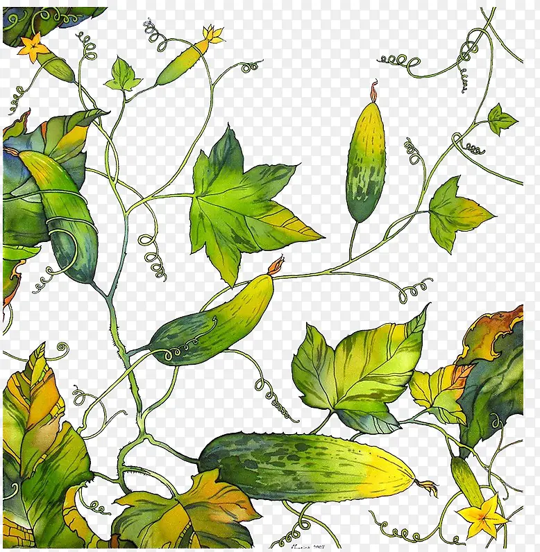 �� ��Ҷ-������