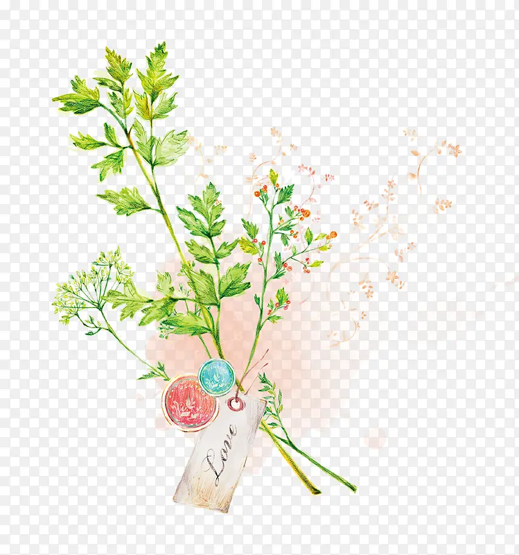 ˮ����Ҷ-������