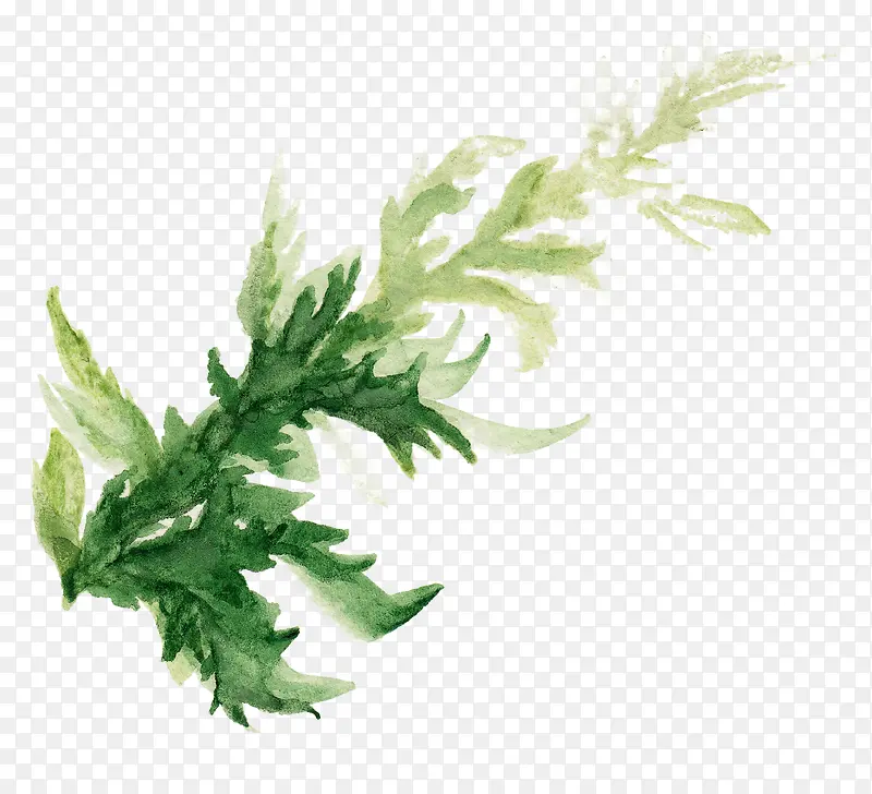 �̲�-������