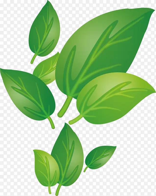 Ҷ��pngʸ���ز�-������