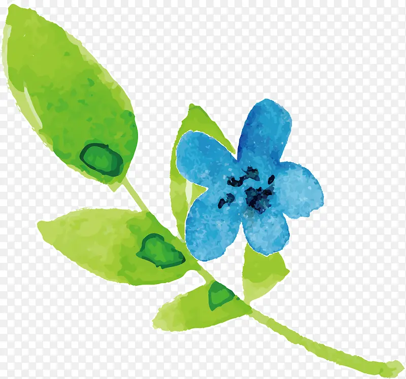 ˮ�ʴ�����Ҷ����-������