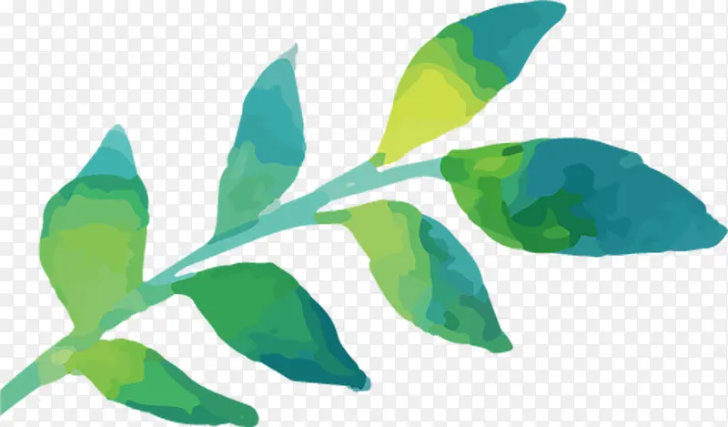 ˮ����Ҷ-������