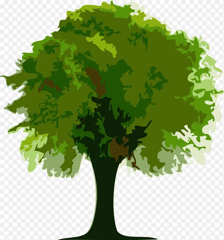 ��ɫ��-������